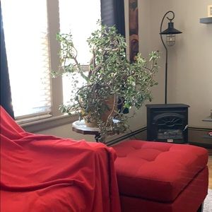 Meet your Posher, Cheryl